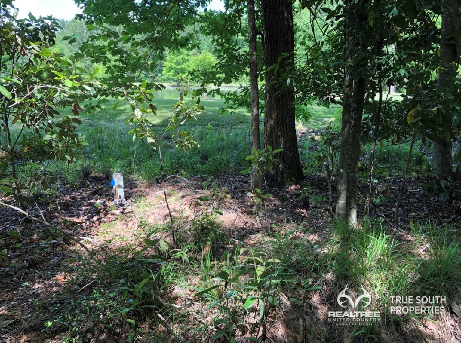 605 Elm St E, Hampton, SC 29924 Land for Sale