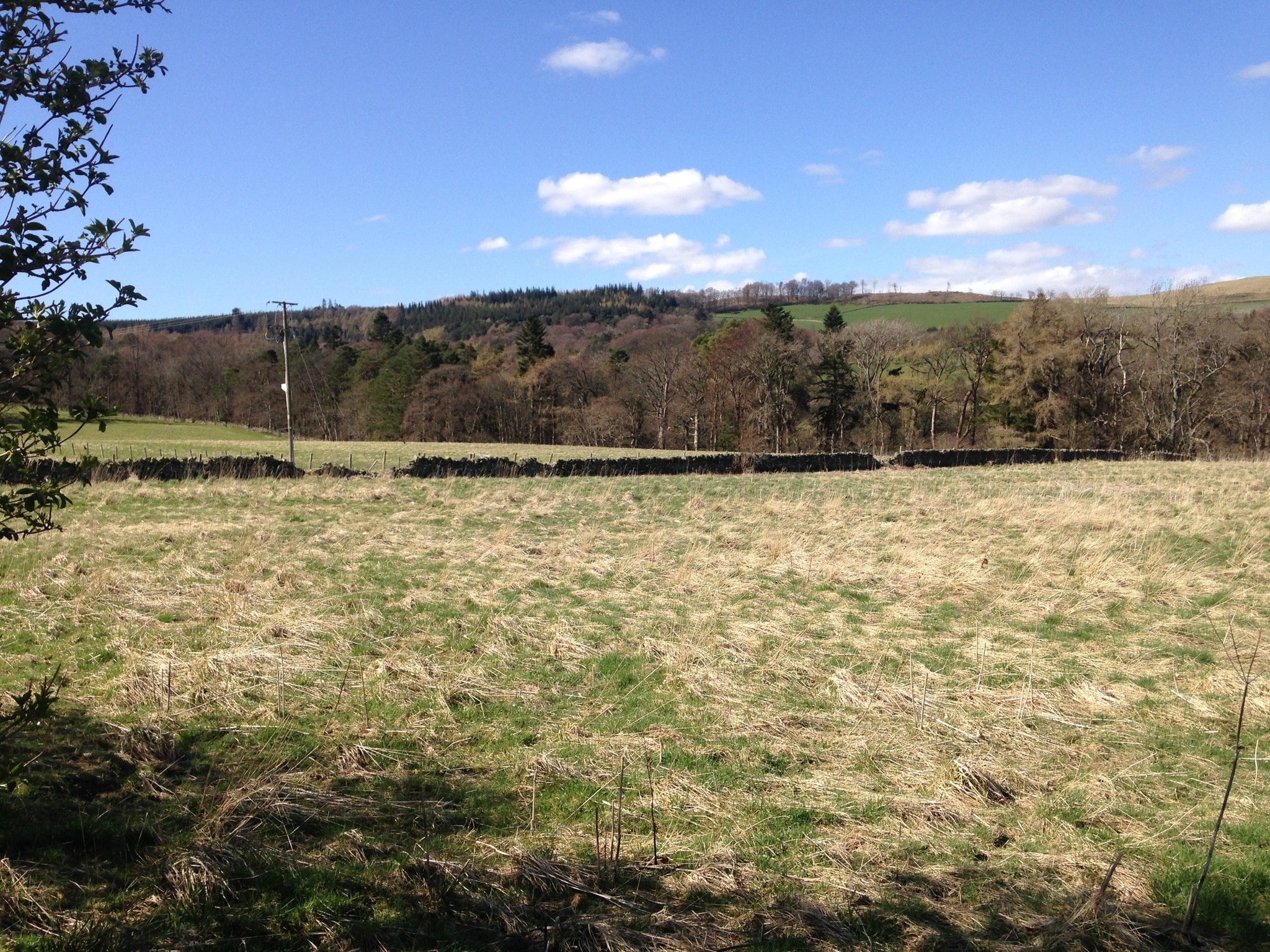 South Parks, Peebles for sale Building Photo- Image 1 of 1