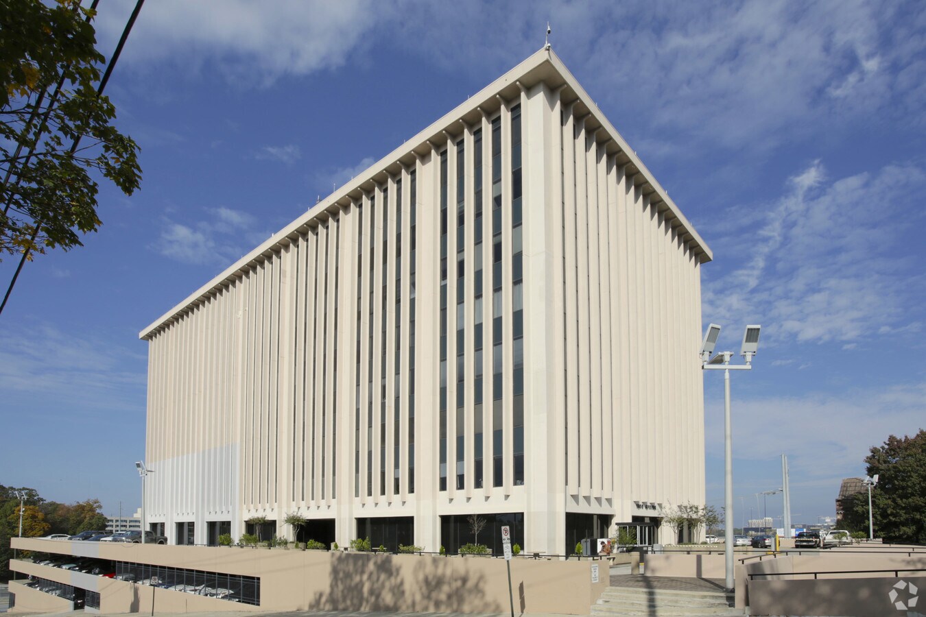 Primary Photo
