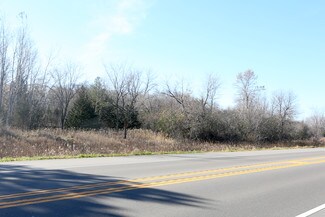 More details for 6895 Scandia Trl N, Forest Lake, MN - Land for Sale