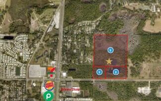 More details for E County Road 44, Eustis, FL - Land for Sale