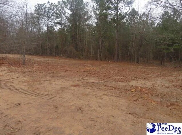 2812 New Market Rd, Hartsville, SC for sale Building Photo- Image 1 of 1