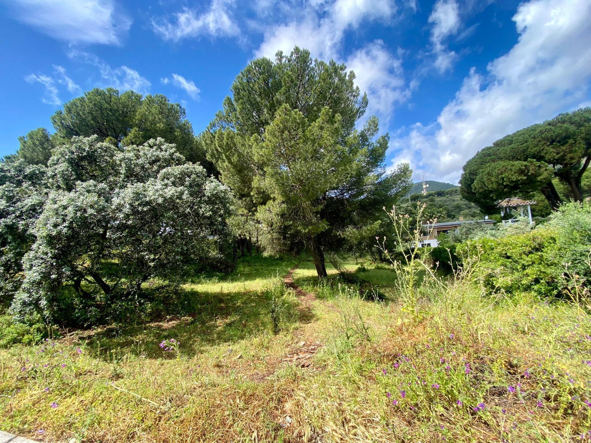 Land in Córdoba, Córdoba for sale Building Photo- Image 1 of 9
