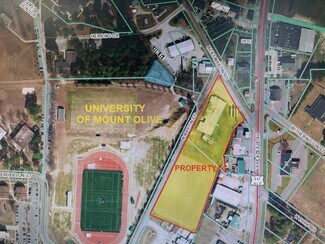 More details for Bert Martin Rd and North Martin St, Mount Olive, NC - Land for Sale