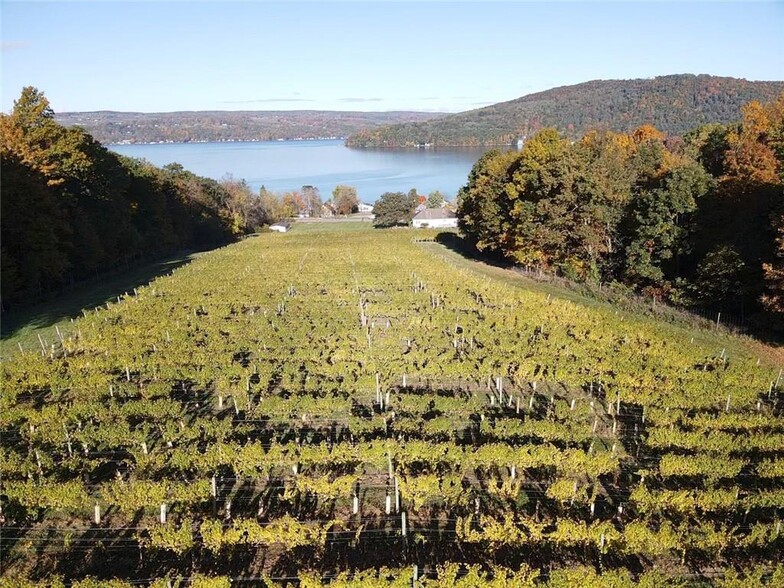 14630 State Route 54, Hammondsport, NY for sale - Building Photo - Image 3 of 50