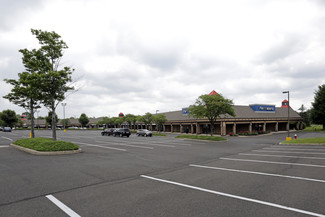 More details for 2801 S Eagle Rd, Newtown, PA - Retail for Lease