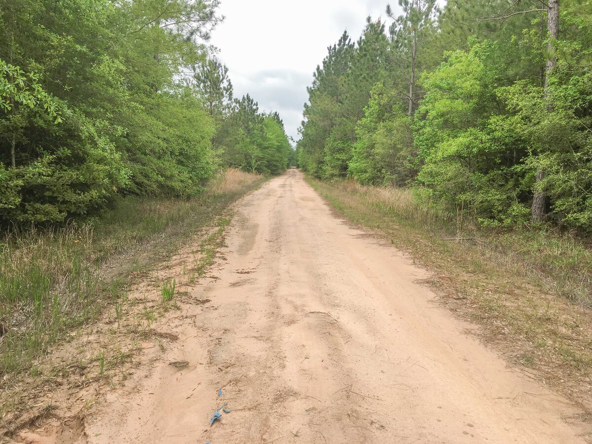 Fm 943, Kountze, TX 77625