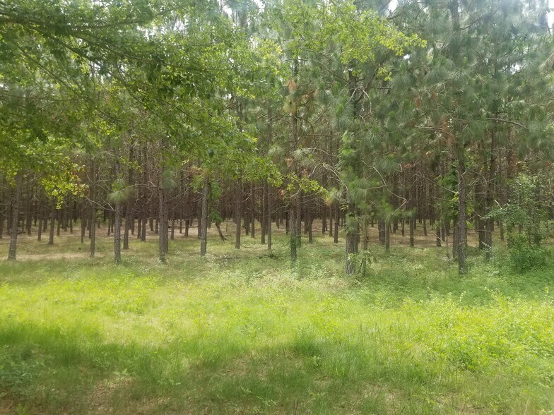 0 Highway 230 Lower River, Eastman, GA for sale - Primary Photo - Image 1 of 1