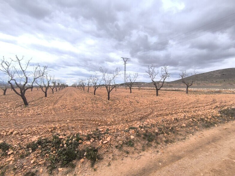 Land in Yecla for sale - Building Photo - Image 1 of 3