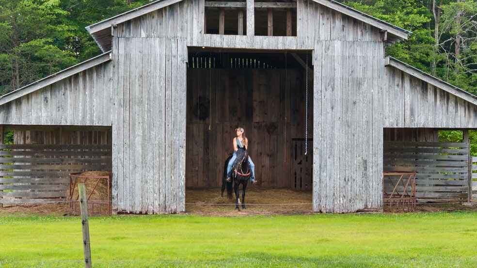 102 Cross Creek Ln, Warne, NC for sale - Building Photo - Image 3 of 33