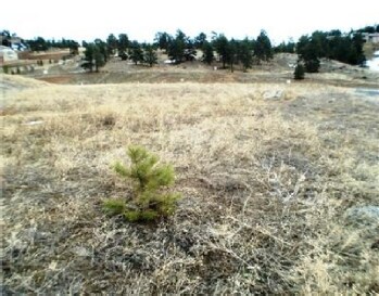 1054 El Rancho Rd, Golden, CO for sale Primary Photo- Image 1 of 1
