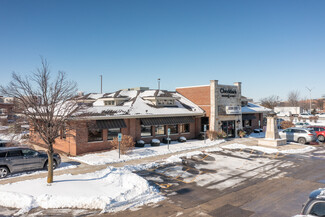 More details for 105 Remington Blvd, Bolingbrook, IL - Retail for Sale