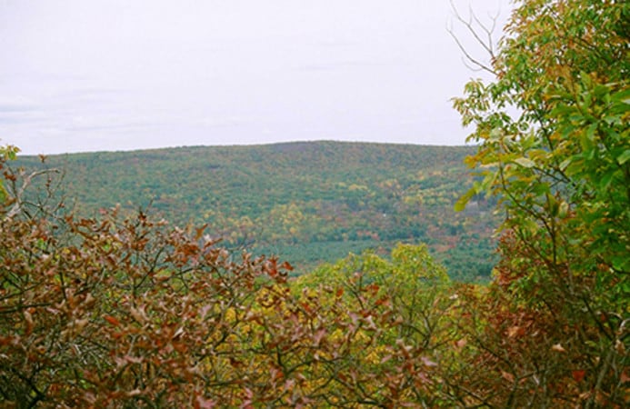 Gumaer Falls Rd, Wurtsboro, NY for sale - Primary Photo - Image 1 of 1
