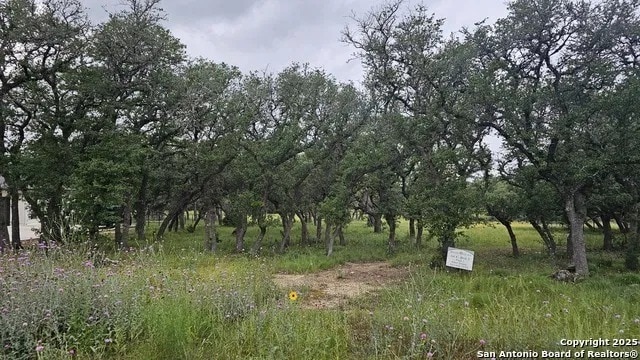 874 Maximino Ridge Rd, Bulverde, TX for sale - Other - Image 3 of 11