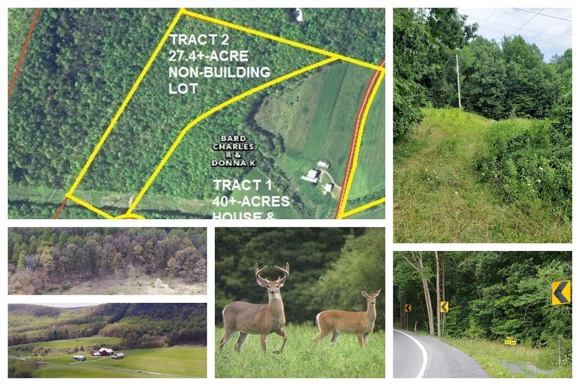 20274 Fairview Church Rd, Three Springs, PA 17264