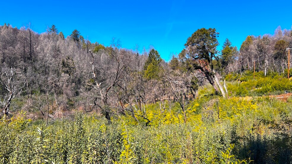 11035 Empire Grade, Bonny Doon, CA 95060 Land for Sale