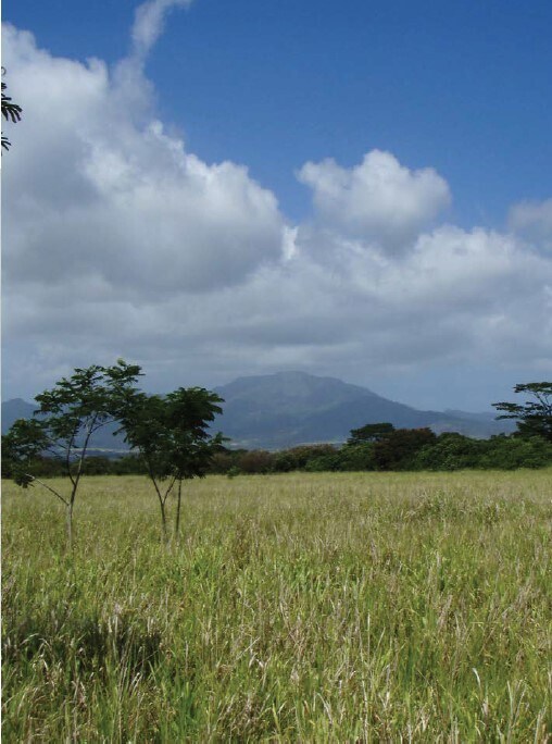 Land in Haleiwa, HI for sale Other- Image 1 of 1