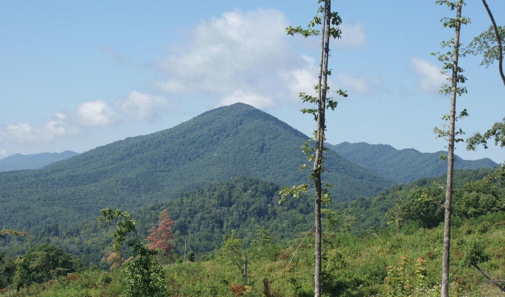 0 White Church Rd, Fincastle, VA for sale - Other - Image 1 of 1