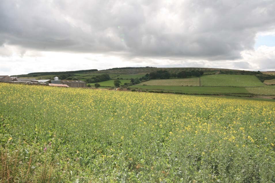 Parkhouse, Maud for sale Primary Photo- Image 1 of 1