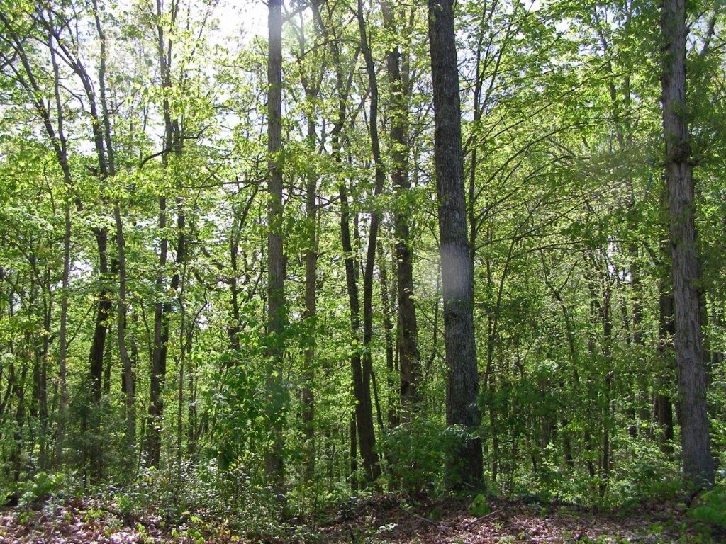 Milo b Dr, Crossville, TN 38572