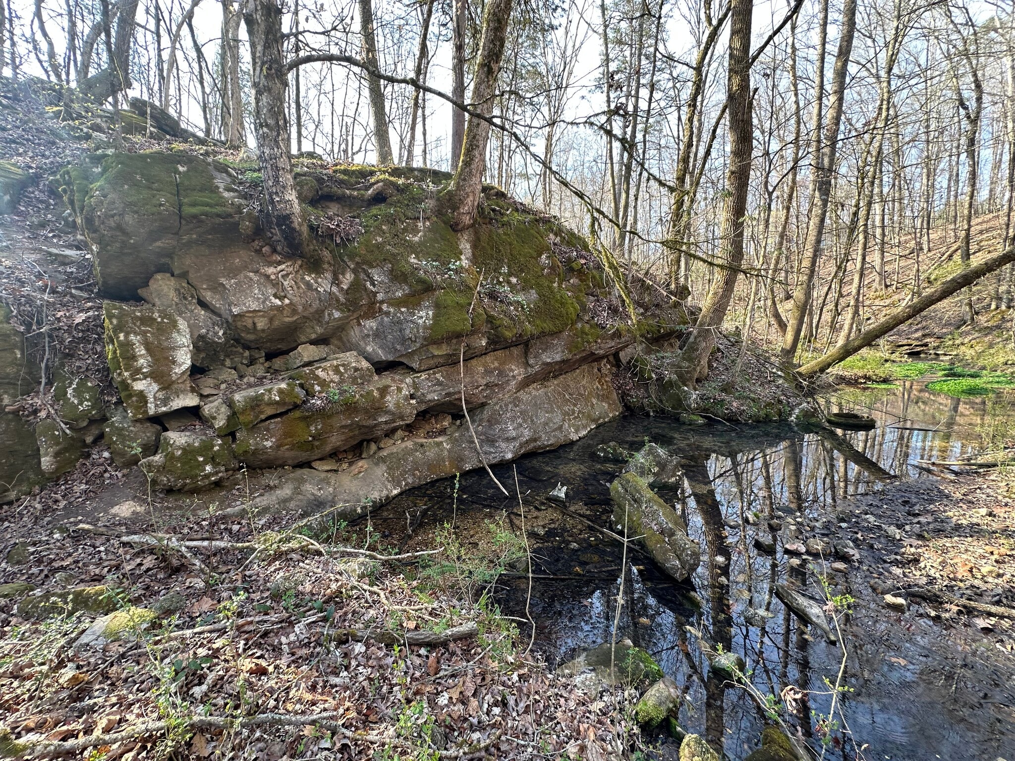 7312 Highway 60, Georgetown, TN for sale Other- Image 1 of 122