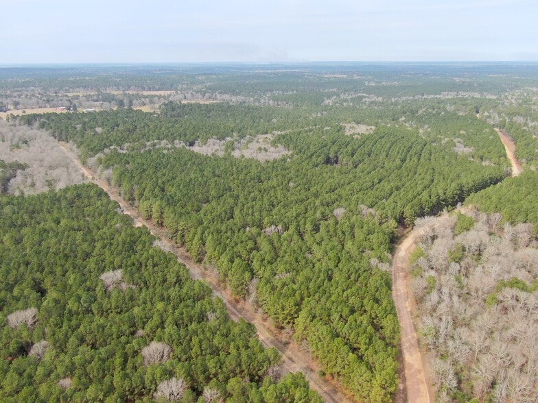 565 Dodge Oakhurst Rd, Huntsville, TX for sale - Building Photo - Image 3 of 4