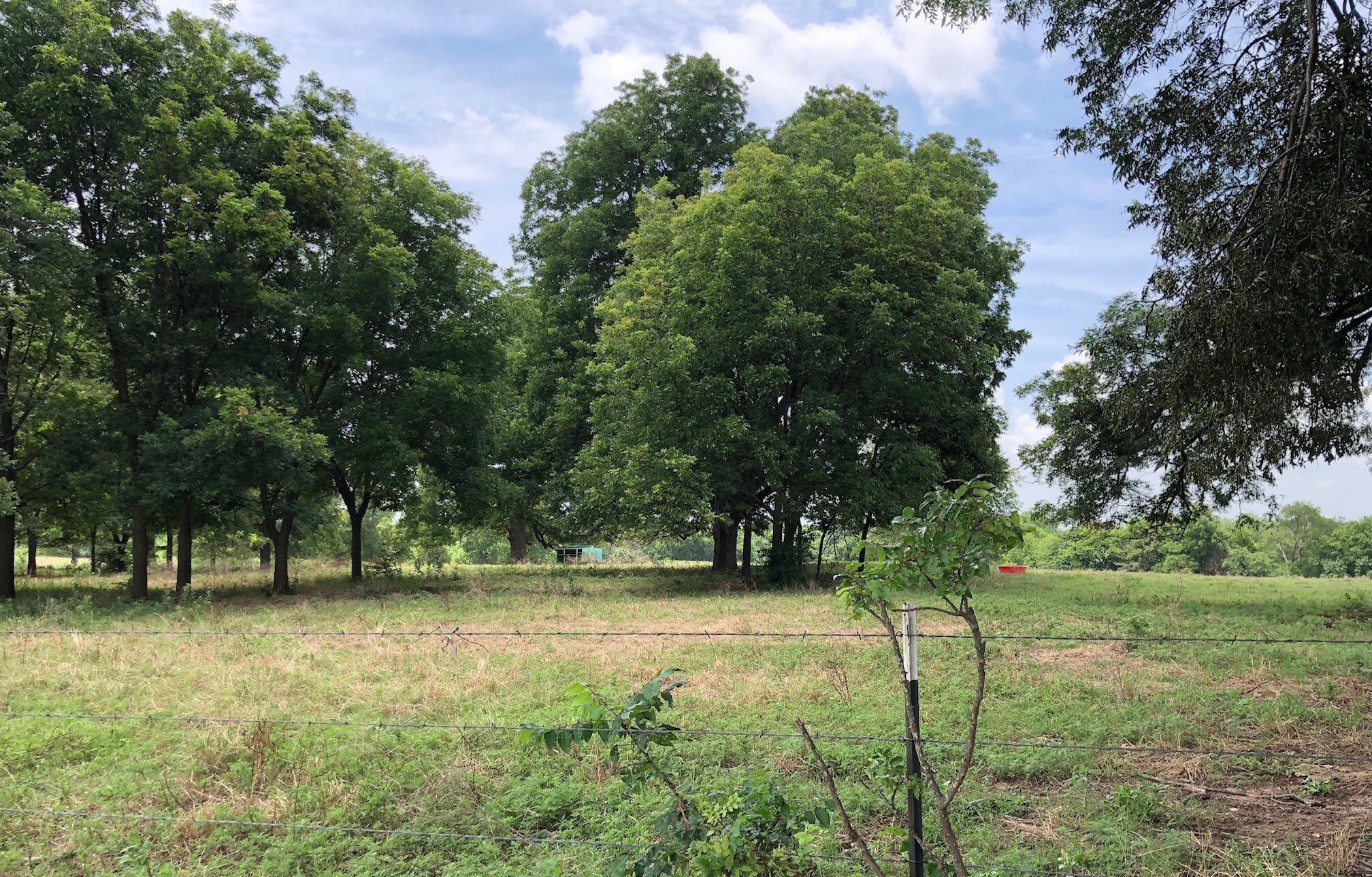 Highway 34, Honey Grove, TX for sale Other- Image 1 of 1