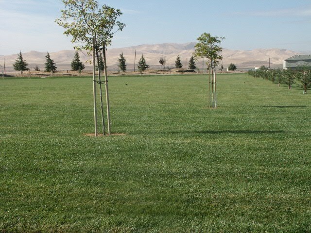 15421 N 9th St, Patterson, CA for sale Primary Photo- Image 1 of 1