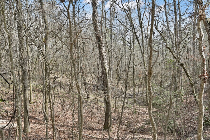 0 Hwy 190, Oakhurst, TX for sale - Primary Photo - Image 1 of 15