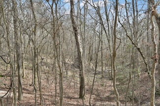 More details for 0 Hwy 190, Oakhurst, TX - Land for Sale