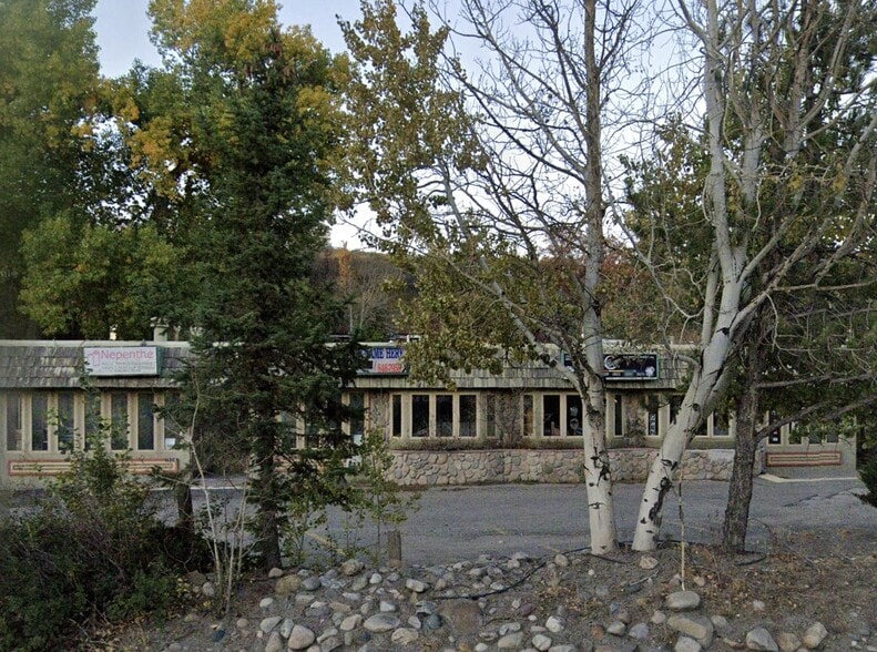 1306 Lincoln Ave, Steamboat Springs, CO for lease - Building Photo - Image 3 of 4