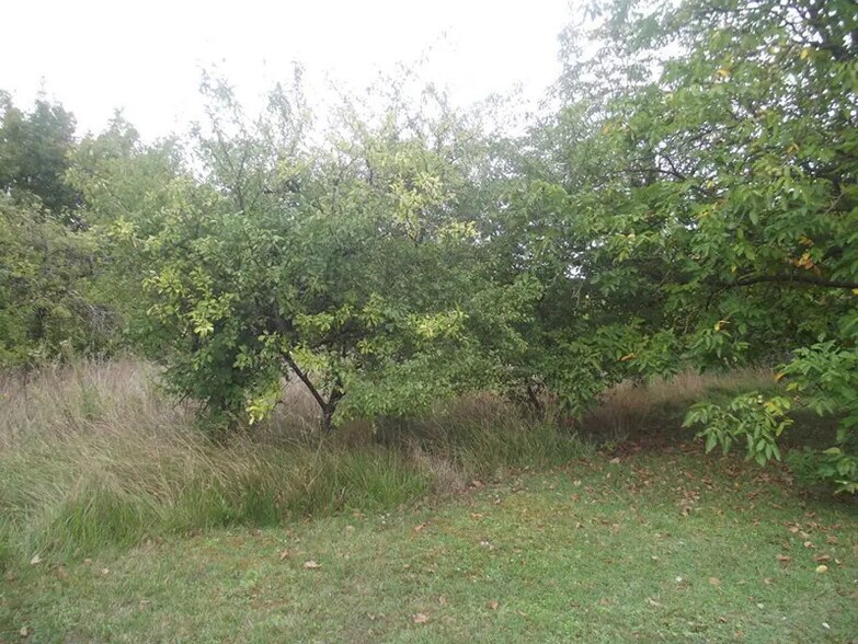 Land in Chavanges for sale - Building Photo - Image 2 of 2