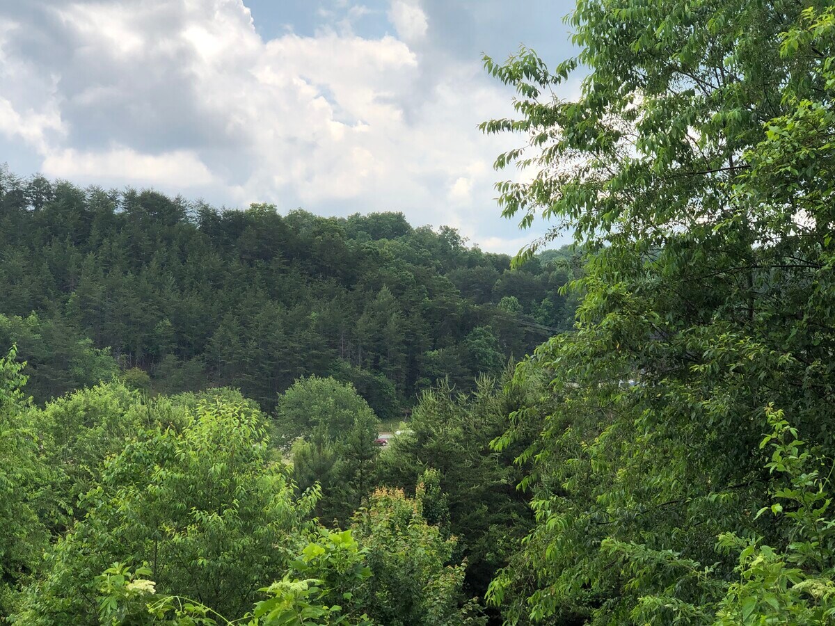 View Photo