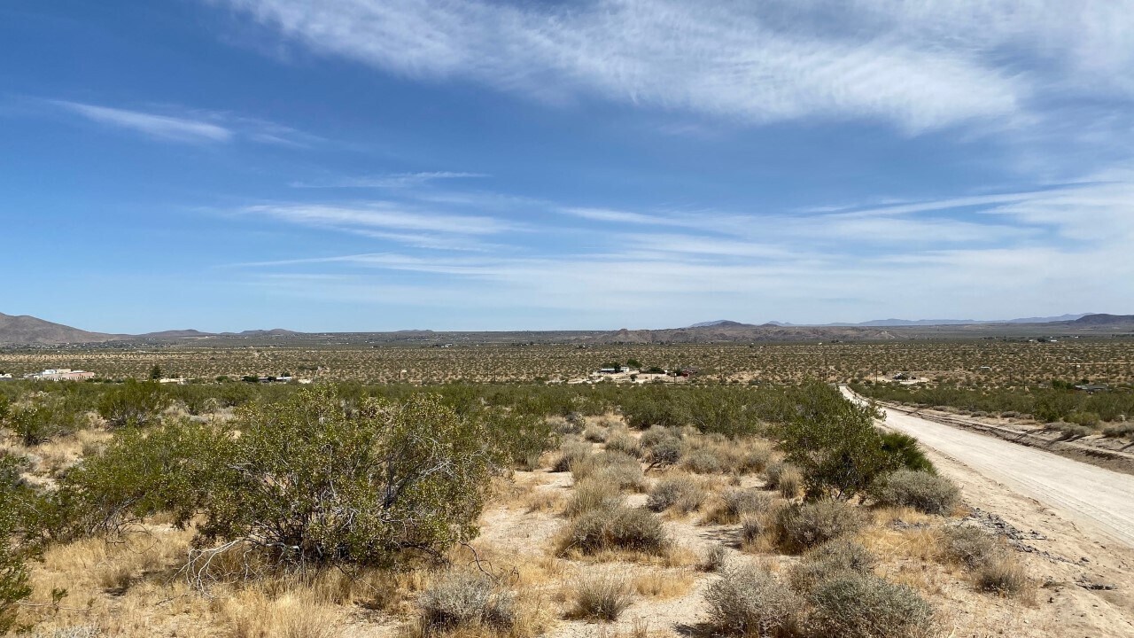 Mojave Ranch Rd, Joshua Tree, CA for sale Primary Photo- Image 1 of 1
