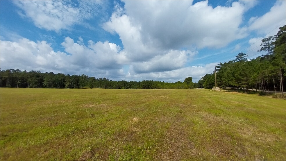 0 Rush Rd, Huntsville, TX for sale - Building Photo - Image 2 of 16