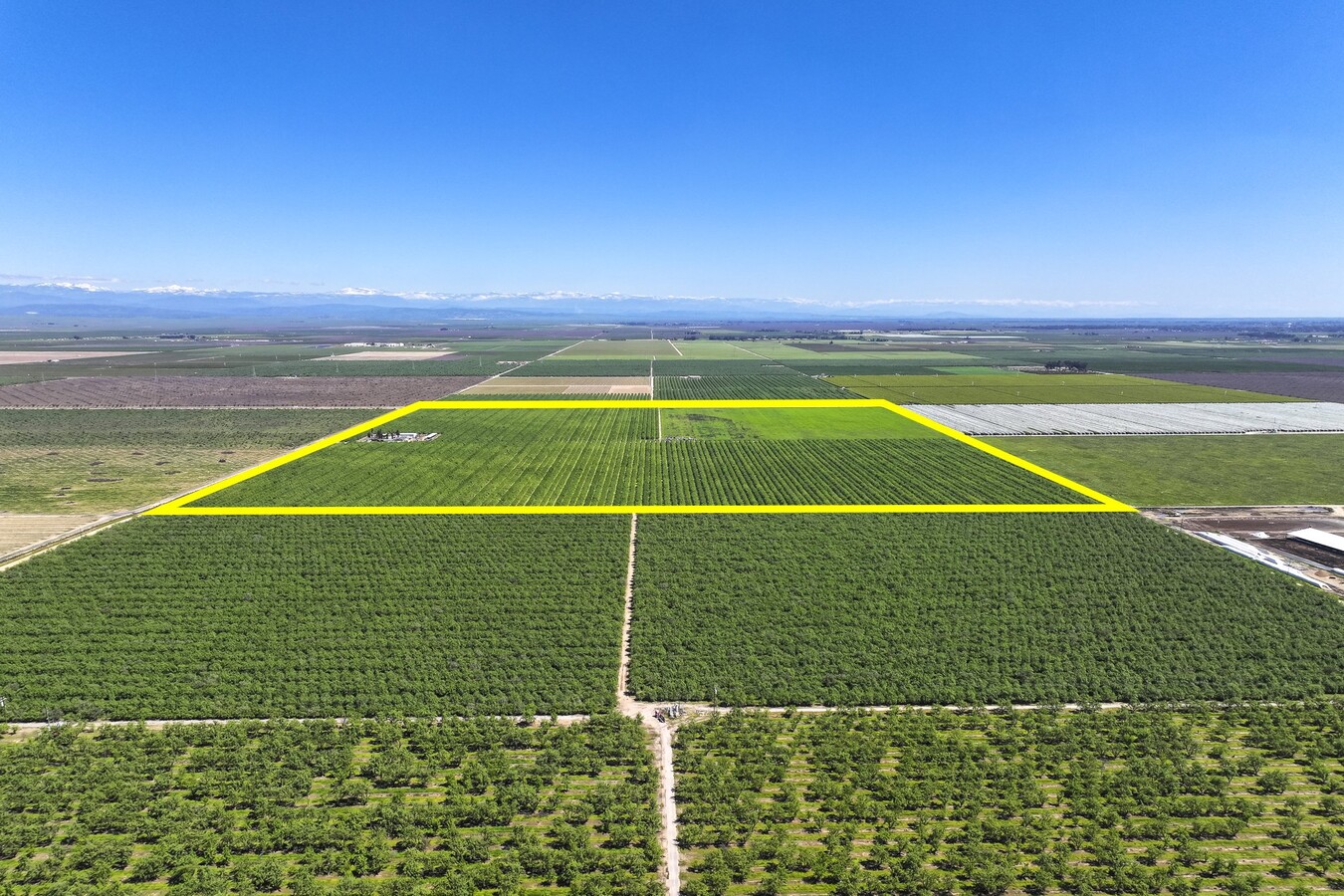 21300 Avenue 22, Madera, CA 93638 - +/-174.57 Ac. Almonds, Madera | LoopNet