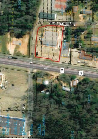 More details for 32952 Highway 43, Thomasville, AL - Land for Sale