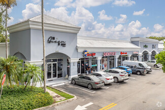 Doral Shops & Professional Center - Commercial Real Estate