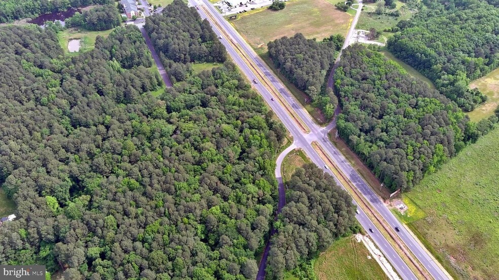 N. Ocean Hwy., Delmar, MD for sale - Building Photo - Image 3 of 5
