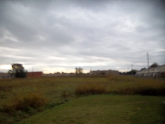 Primary Photo