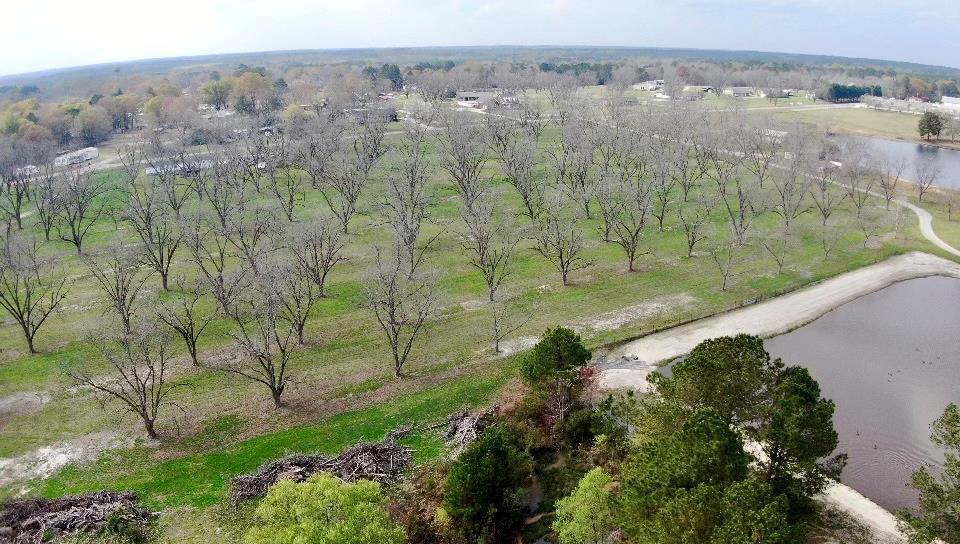 0 Old Eastman Rd, Cadwell, GA 31009