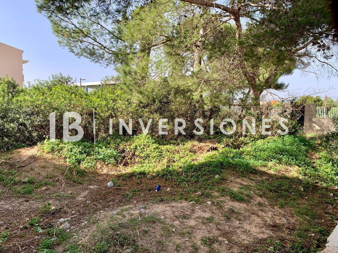Land in Manacor, Islas Baleares for sale Other- Image 1 of 5