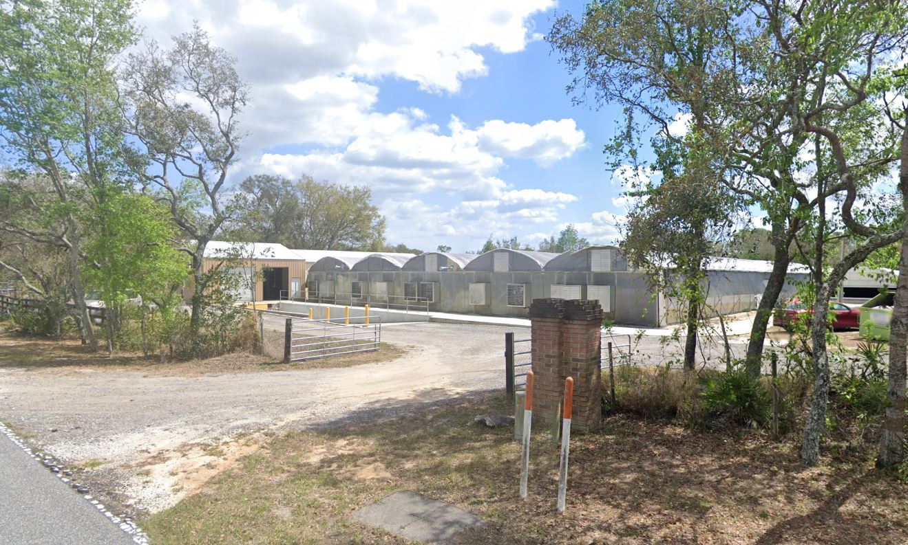 17936 W Phil C Peters Rd, Winter Garden, FL for sale Primary Photo- Image 1 of 22