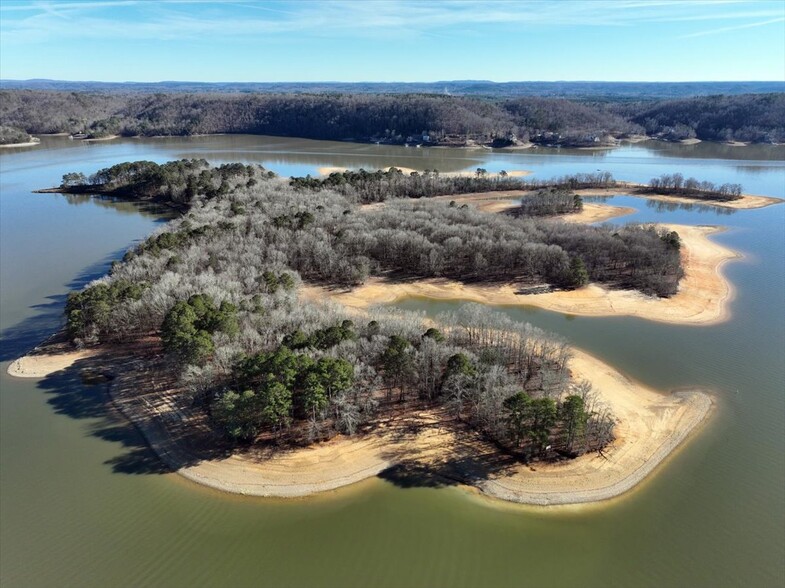 0 Goat Island, Cullman, AL for sale - Primary Photo - Image 1 of 1