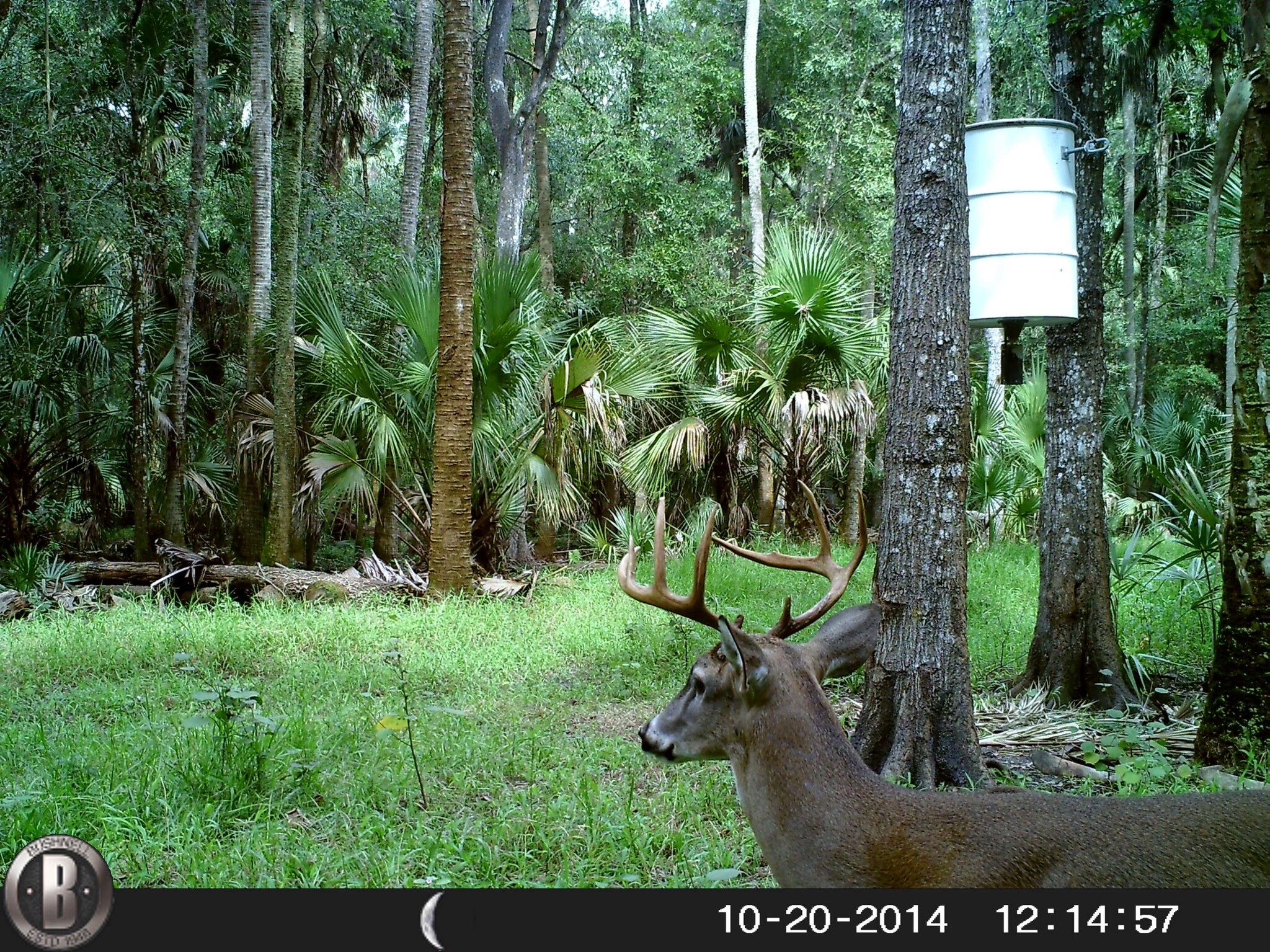 1702 Parnell Rd, Zolfo Springs, FL for sale Building Photo- Image 1 of 1