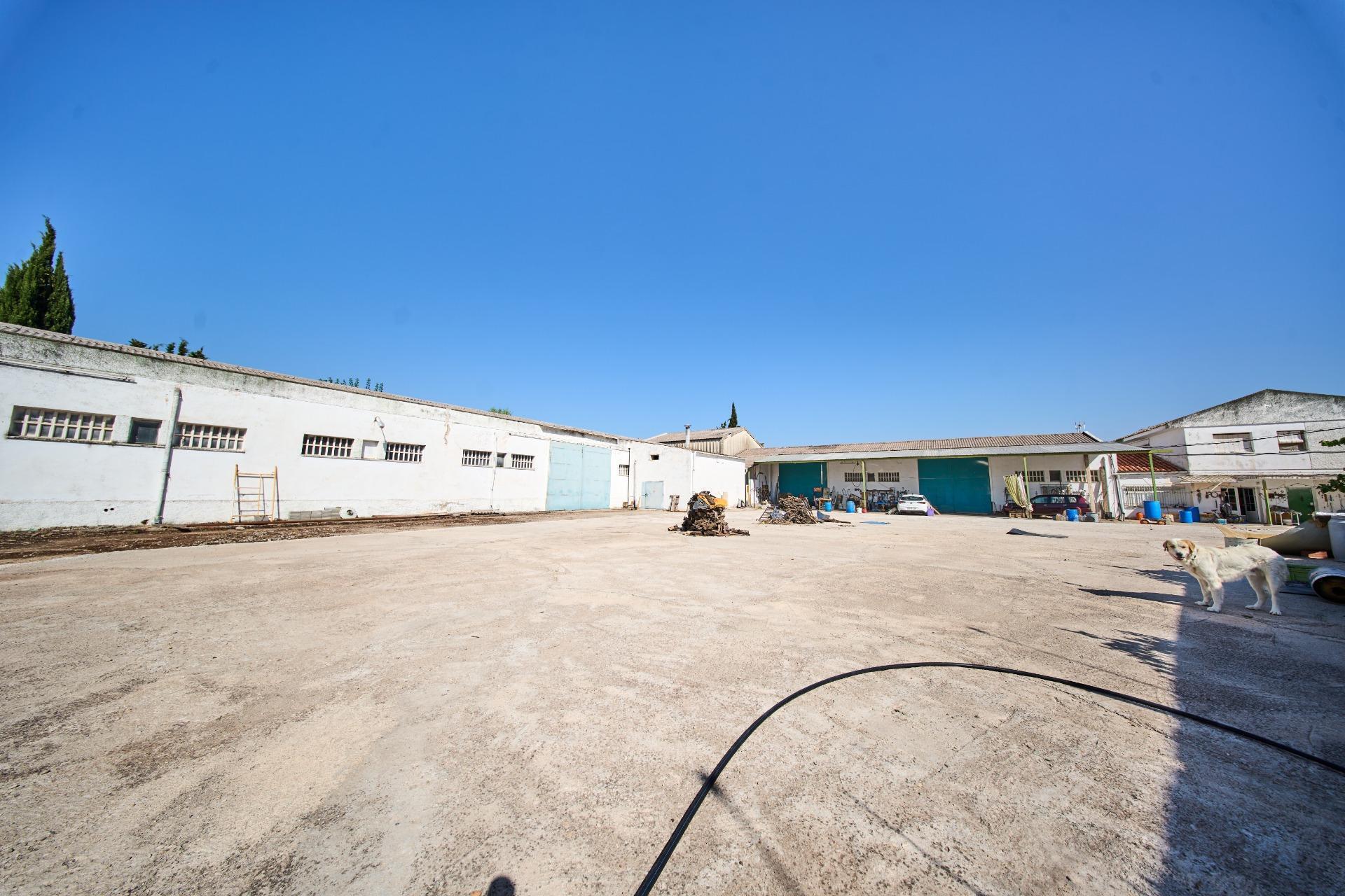 Land in La Carolina for sale Building Photo- Image 1 of 61
