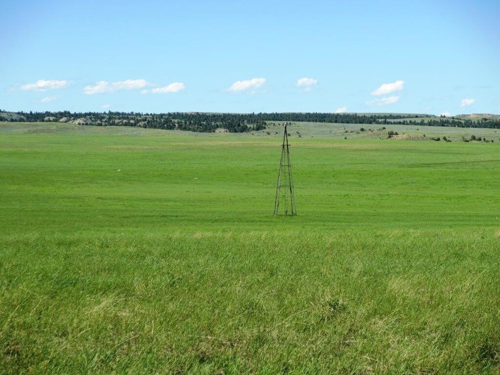 View Photo