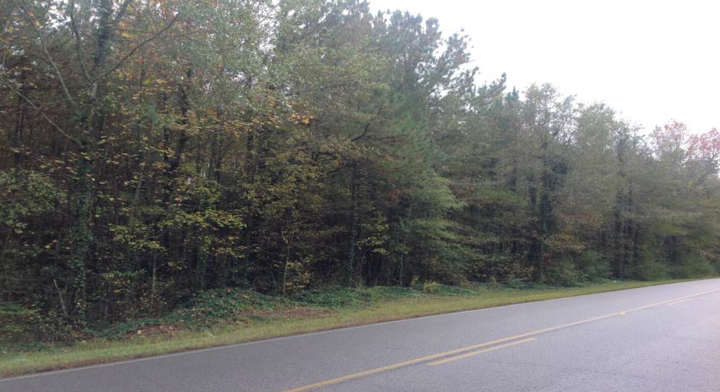 Pleasant Valley Rd, Pell City, AL for sale Primary Photo- Image 1 of 1