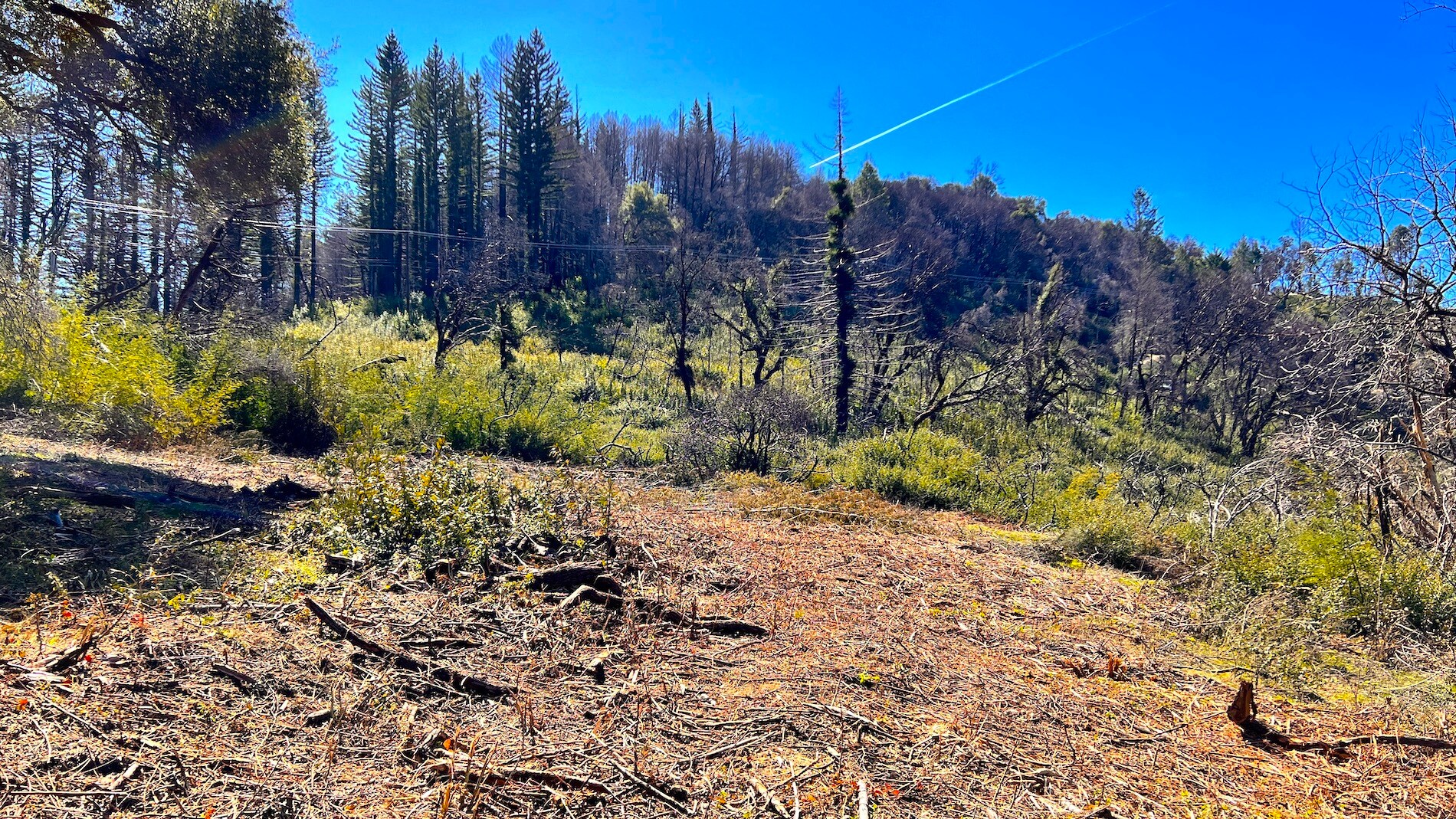 11035 Empire Grade, Bonny Doon, CA 95060 Land for Sale