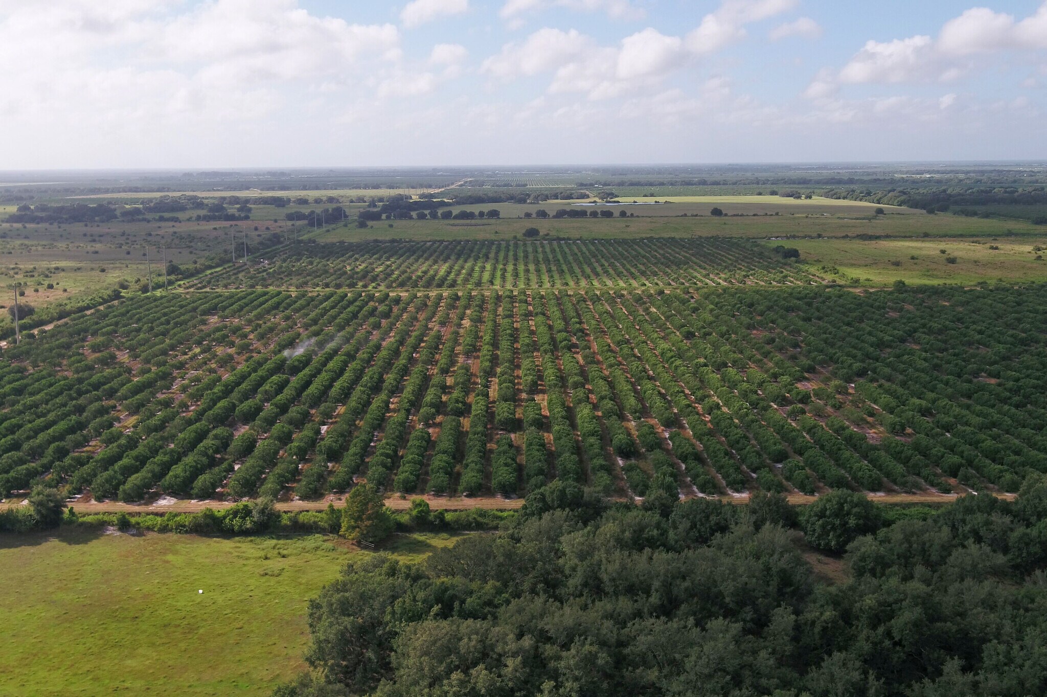 County Road 763, Arcadia, FL for sale Primary Photo- Image 1 of 1